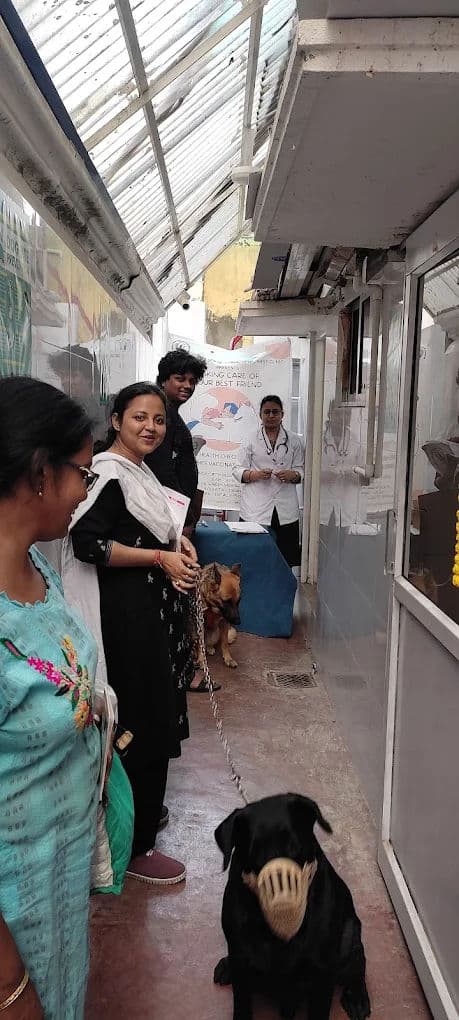 Cruciate Ligament Tears: TPLO and What It Solves