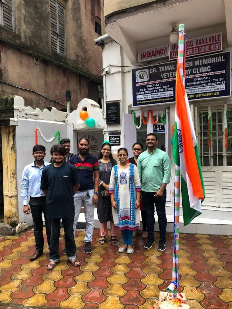 Switching Pet Food Without GI Upset