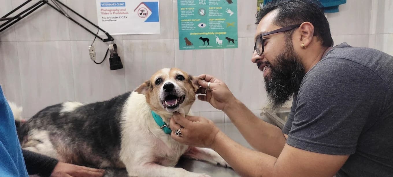 End-of-Life Care: Making the Kindest Choice