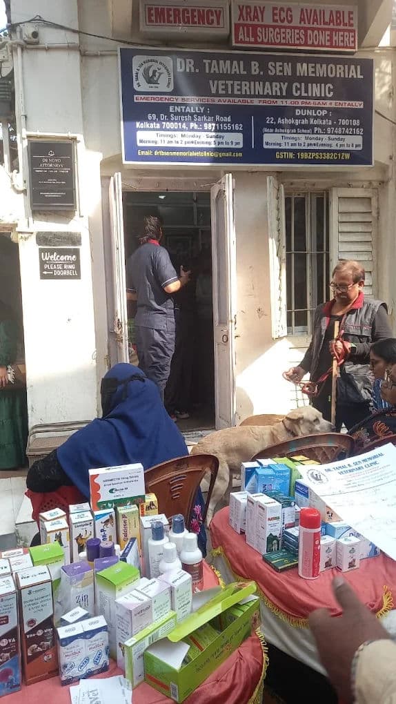 Travelling With Pets in India: Rail, Air, Road