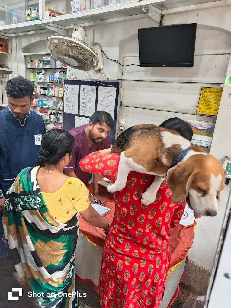 Pet Poisoning: The First 30 Minutes