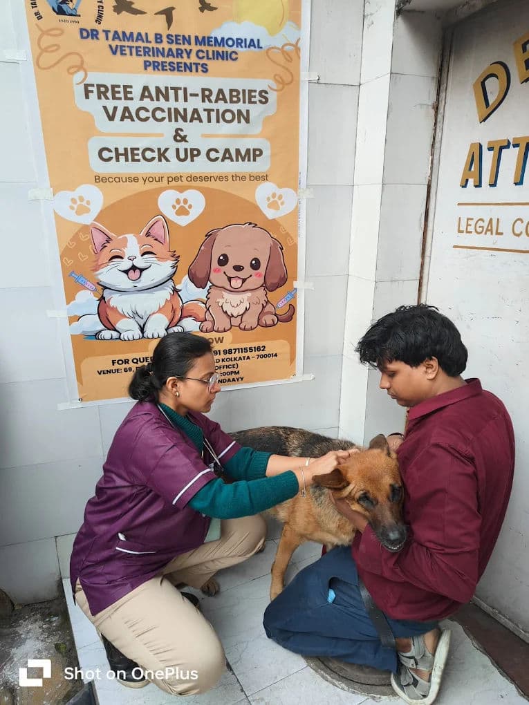 Microchipping Your Pet in India: A Practical Guide