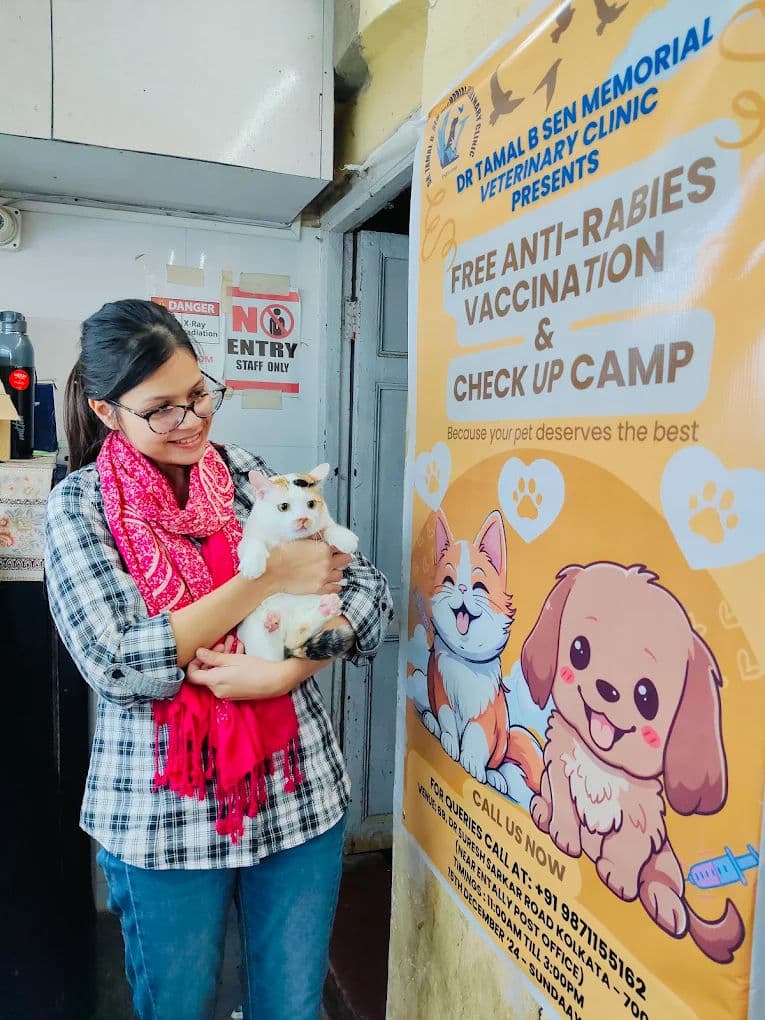 Pet Insurance in India: Is It Worth It?