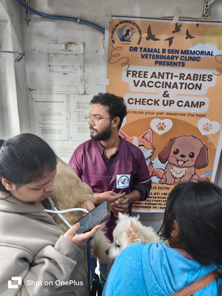 Deworming Schedule for Dogs and Cats