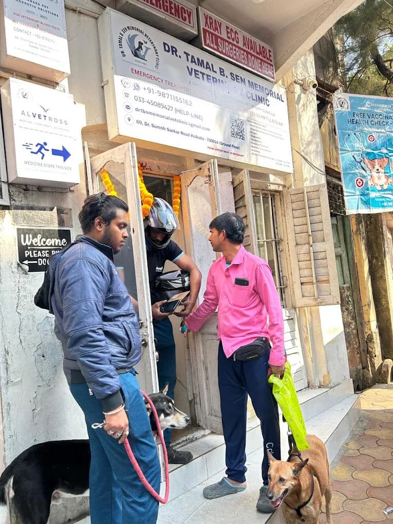 Choking in Pets: Recognise It, Act Fast