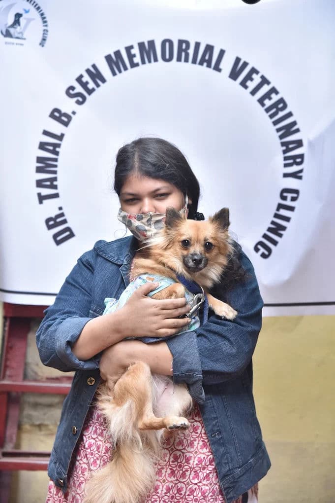 Crate Training Without Trauma