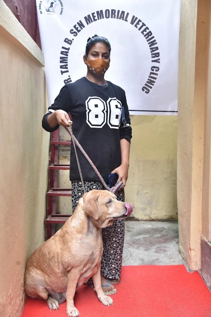 Winter Joint Pain: Senior Pets in Kolkata Cold