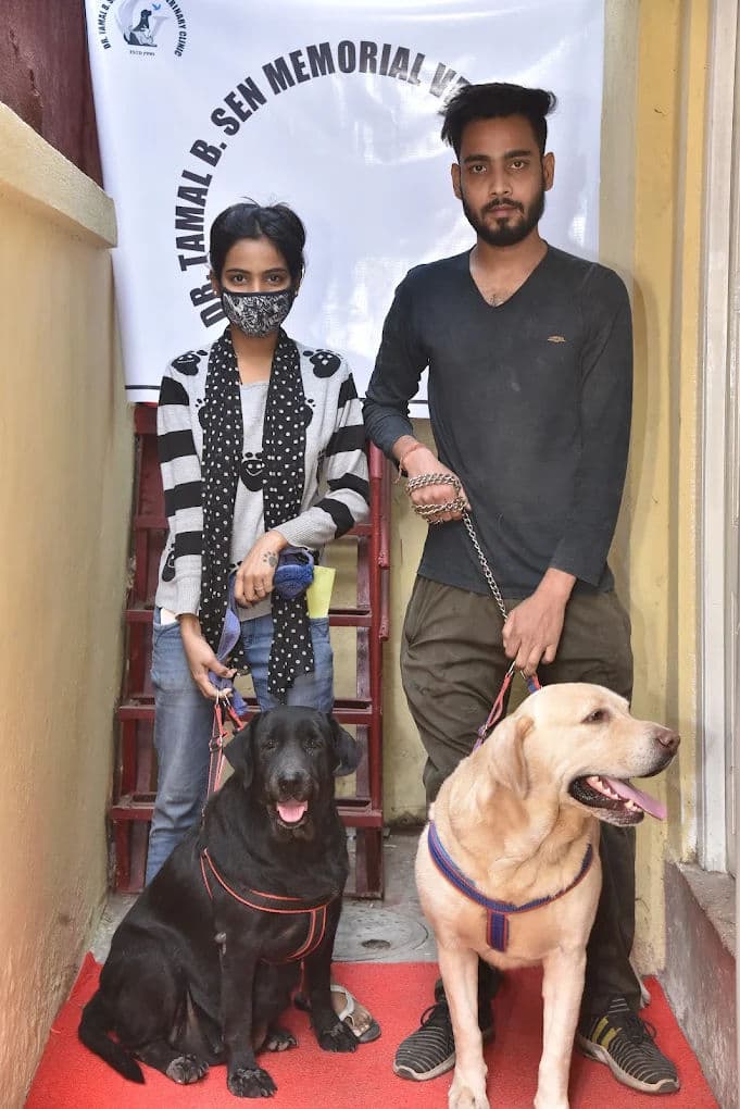 Pre-Monsoon Checklist for Kolkata Pet Owners