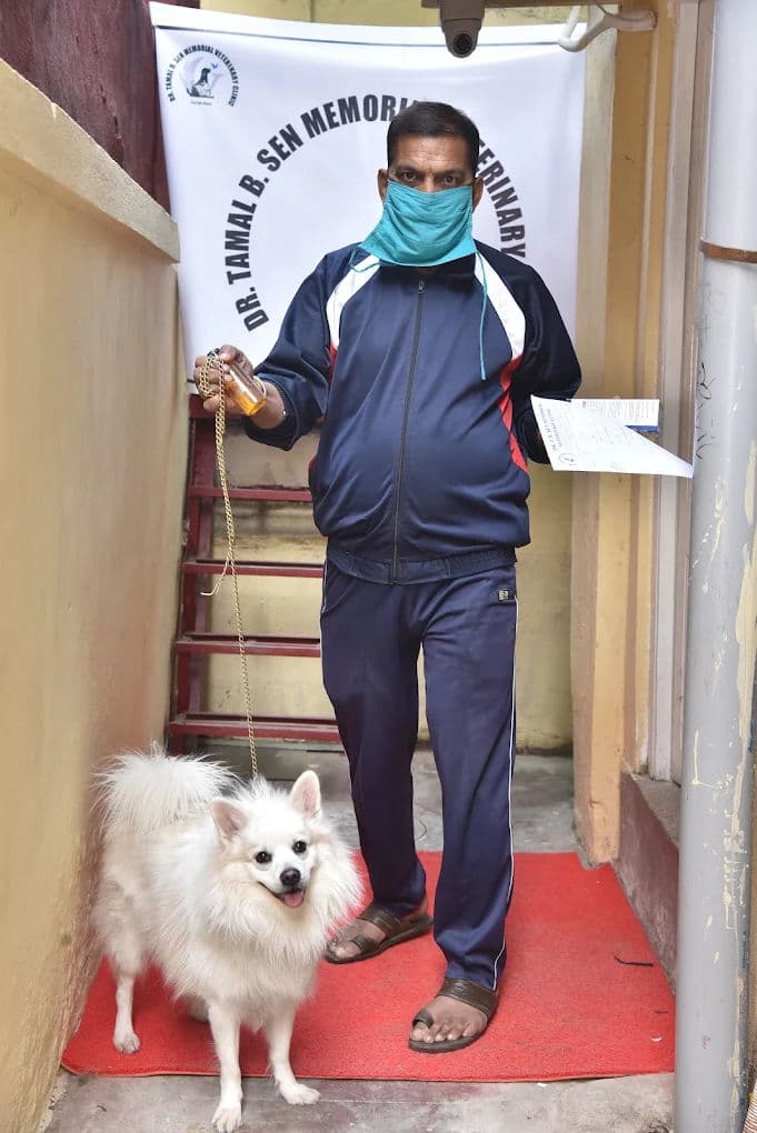 Diwali Without the Trauma: Pet-Friendly Celebration