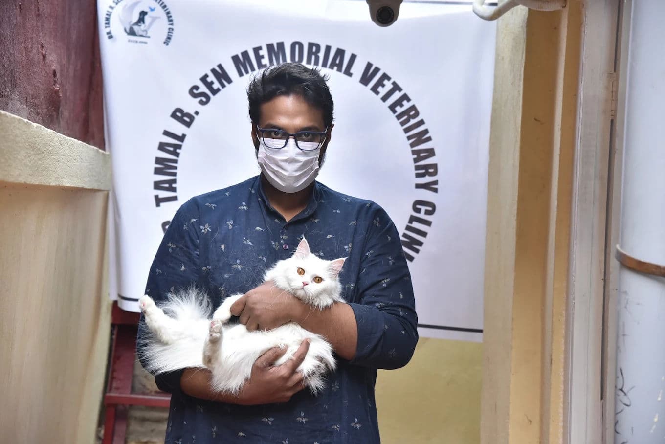 Power Cuts and Pets: Heat-Wave Survival